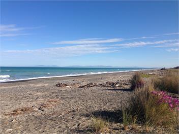 City escape - Leithfield Beach