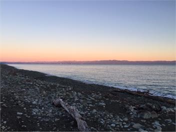 Gone Eco - Nelson