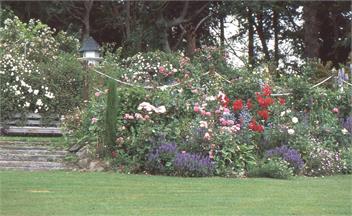 LyddingtonCottage - Rangiora R.D.1