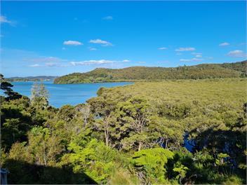 Tui Cottage - Paihia