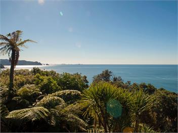 The Ridge at Tairua (Bachcare) - Tairua