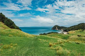 Stuart's - Whangarei