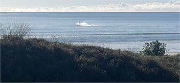 Sea Mist - Ohope