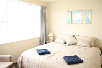 The Palace - Kaikoura