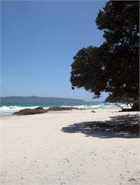 OTAMA BEACH HOUSE - Coromandel