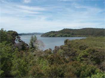 Tui Cottage - Paihia