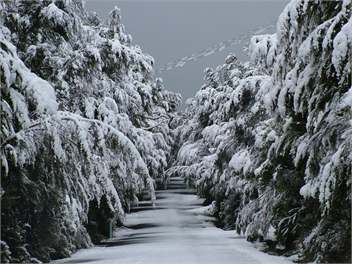 Street's Retreat - St Arnaud