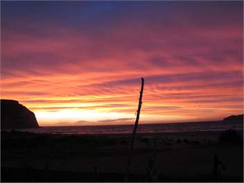 Moana Paradise - Mahia Peninsula