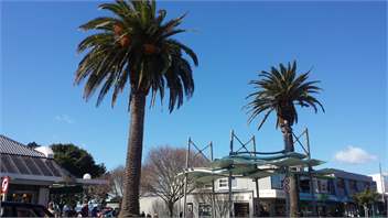 33 Holt Avenue Torbay - Auckland