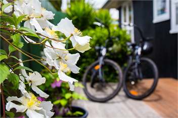 Pipi Hotel Havelock North - Hastings