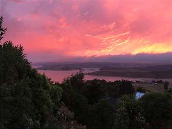 The Harrier's View - Christchurch