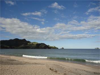 Ocean View B&B - Whitianga