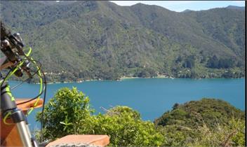 Beach House - PICTON