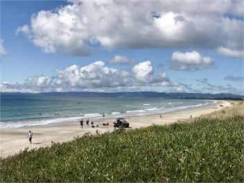 Marotere - Bream Bay
