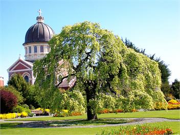 Cottage by the Tower - Invercargill