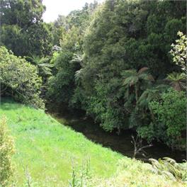 Slice of Heaven Cottage - Tauranga