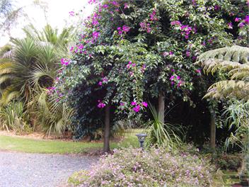 Milton Park country view cottage - Kaikohe