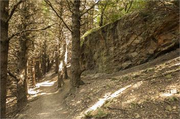 WASHPEN FALLS - Darfield