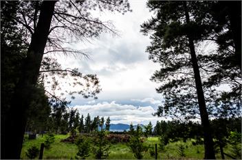WOODBANK PARK COTTAGES - Hanmer Springs