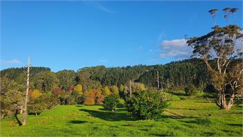 Takou River Cottage - chic, cosy and romantic cottage - Kerikeri