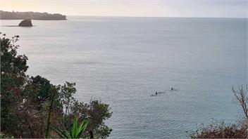 Whale Cove - clifftop holiday home - Whangaparaoa
