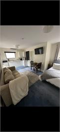 Bellbird cottage - Christchurch