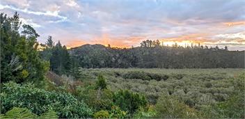 Garden Bliss & Bird Sanctuary in Paihia Estuary - Paihia