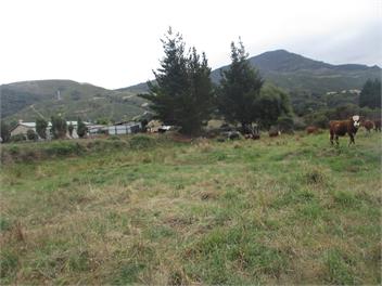 Hira Cottage On Farm - Nelson