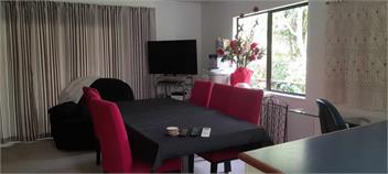 Rural Bay of Islands 1 acre with two blue heelers, 13 min Kerikeri 25 minutes by car to Paihia - Kerikeri