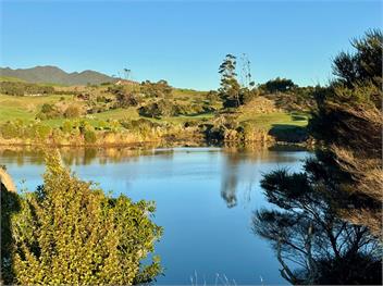 Sunset Stay (Bachcare) - Raglan