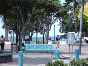 5 Min Walk to Beaches -Village & Shops Sea Views ! - Auckland
