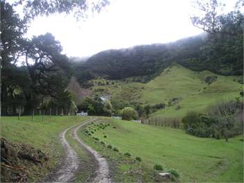 Secluded Kenepuru Retreat. Beach, Bush & 50ha Farm - Picton