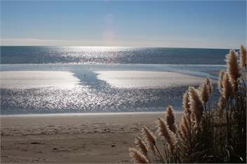 Bermuda - your home away from home - Takaka Nelson