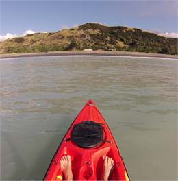 Surfers Paradise - Kaikoura