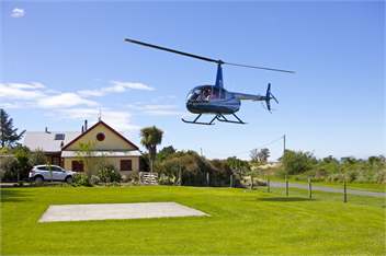 The Factory - Kaikoura