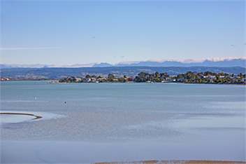 Estuary Grove - Nelson