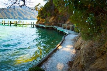 Aroha - Bythell's Bay / Spectacular Holiday Home for Families - Queen Charlotte Sound