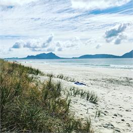 Marotere - Bream Bay