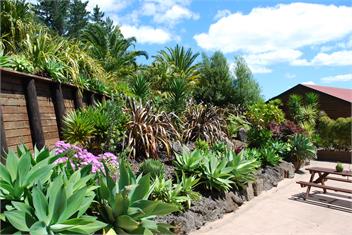 Coastal Chalet Suites- Suite B  - Whangaroa