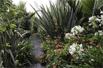 Linga Longa -