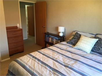 Chris's Cabin - Greytown