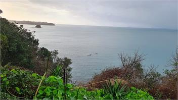 Whale Cove - clifftop holiday home - Whangaparaoa
