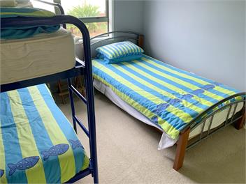 Oakura Beachfront, wifi & kayaks - Oakura Bay