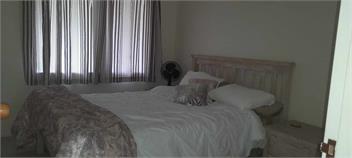 Rural Bay of Islands 1 acre with two blue heelers, 13 min Kerikeri 25 minutes by car to Paihia - Kerikeri