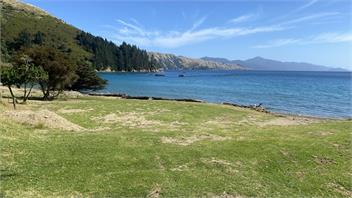 Hamilton Bay Cottage - Waterfront Homestay -