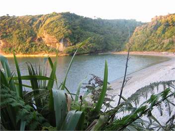 Mania Roa Holidays - Punakaiki