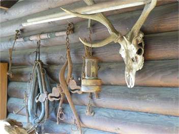 Lancewood Lodge - Mt Lyford