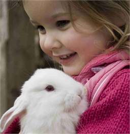 WACKY STAYS - EXCLUSIVE access to 40+ Farm Animals - Kaikoura