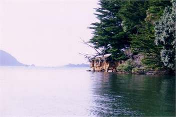 Tranquillity Lodge - Houhora