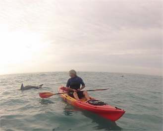 Surfers Paradise - Kaikoura